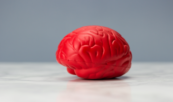 Understanding Our Plastic Brains